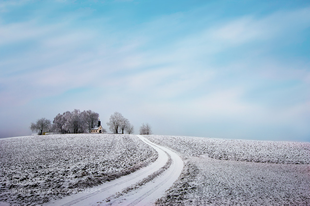 Canon EOS 7D Mark II sample photo. Reifenberg photography