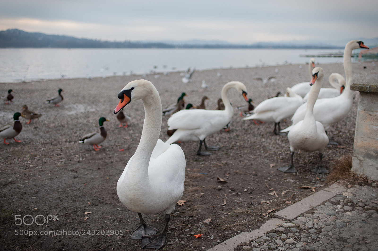 Nikon D3 sample photo. Meeting photography