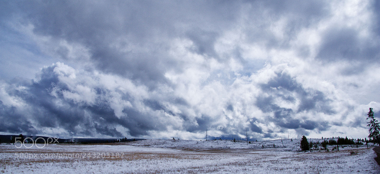 Nikon D7200 sample photo. Nieve photography