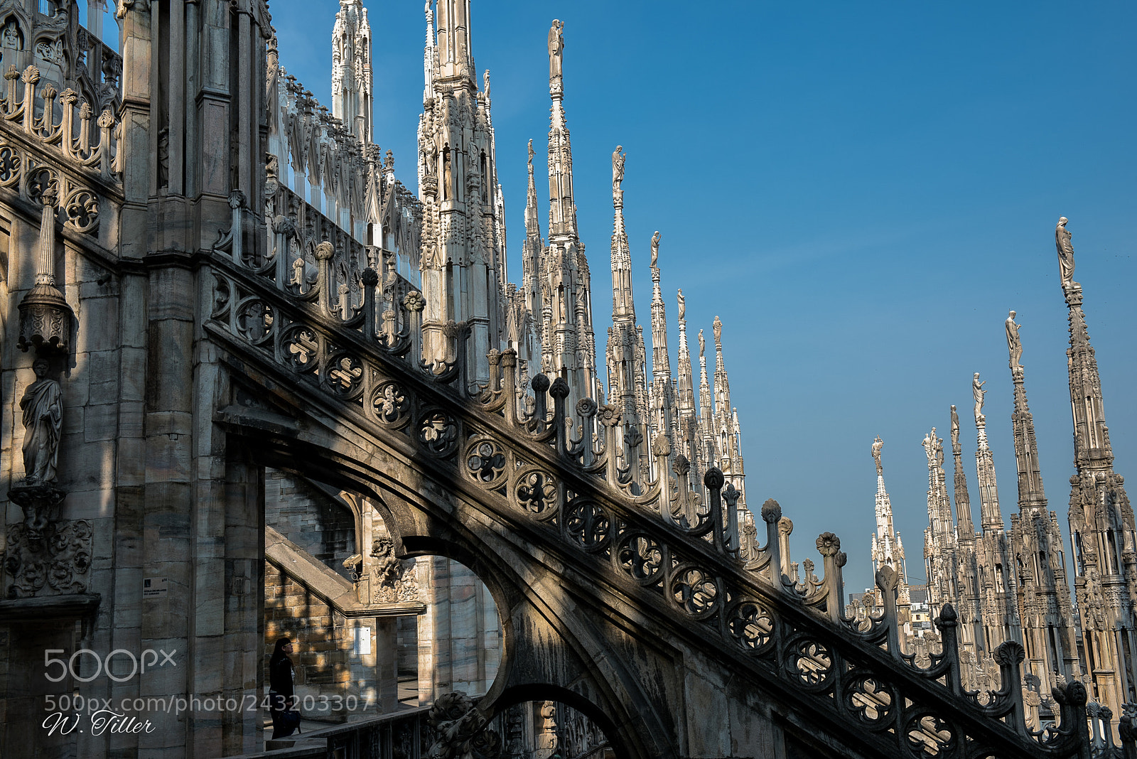 Nikon D810 sample photo. Mailänder dom photography