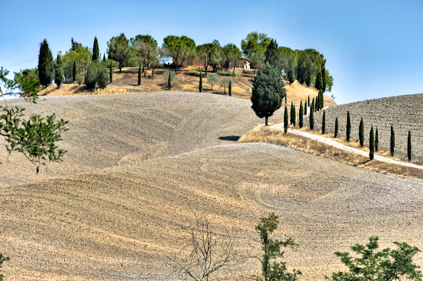 Nikon D700 sample photo. Tuscan contest photography