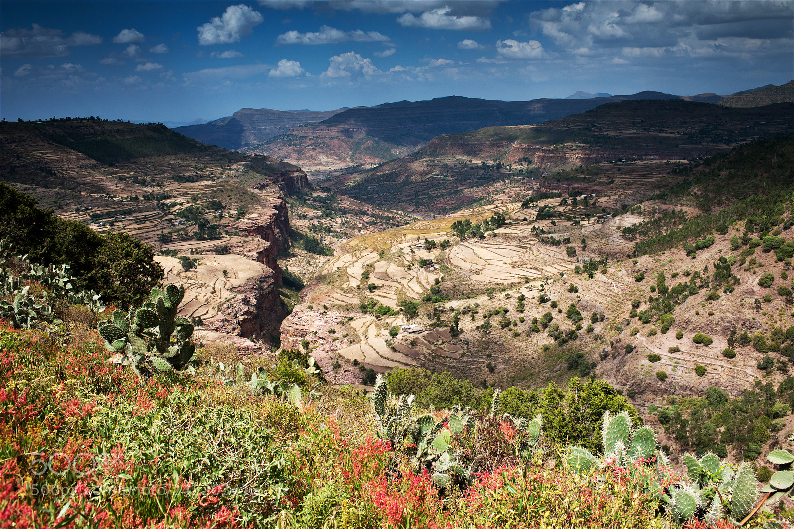 Nikon D3X sample photo. [ canyon in northern ethiopia ] photography