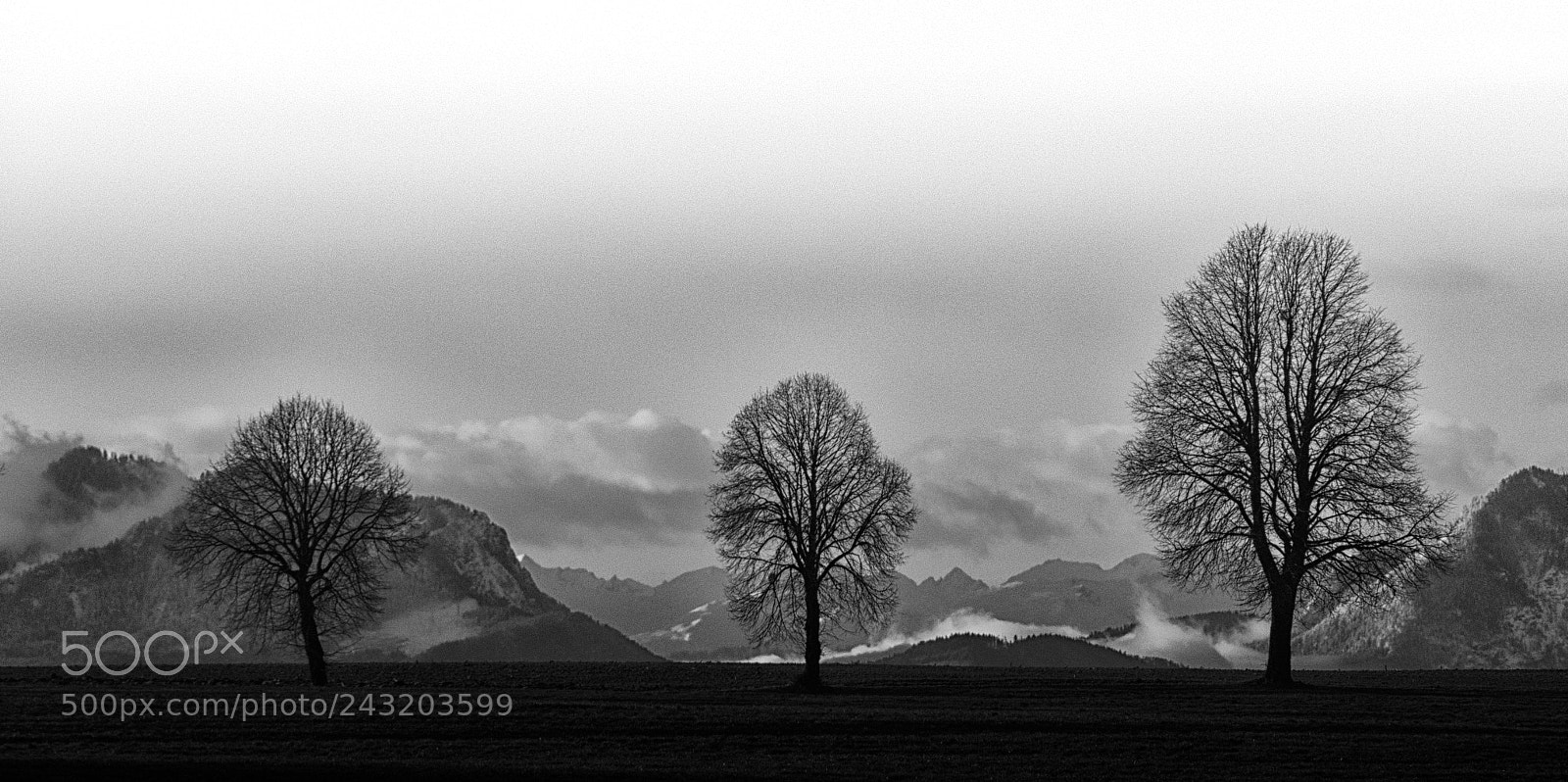 Panasonic Lumix DMC-FZ1000 sample photo. Three trees and mountains photography