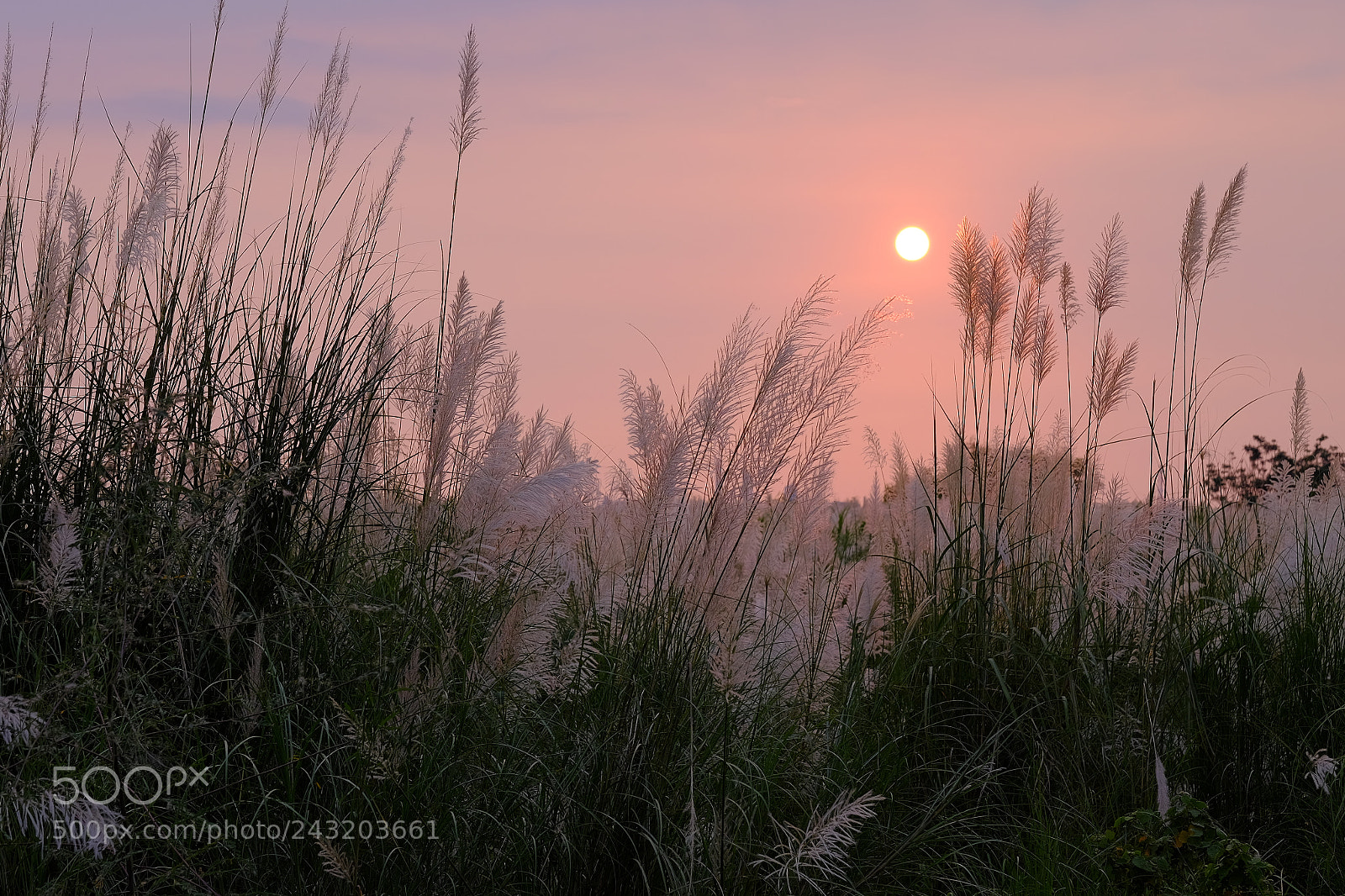 Fujifilm X-T1 sample photo. Untitled photography