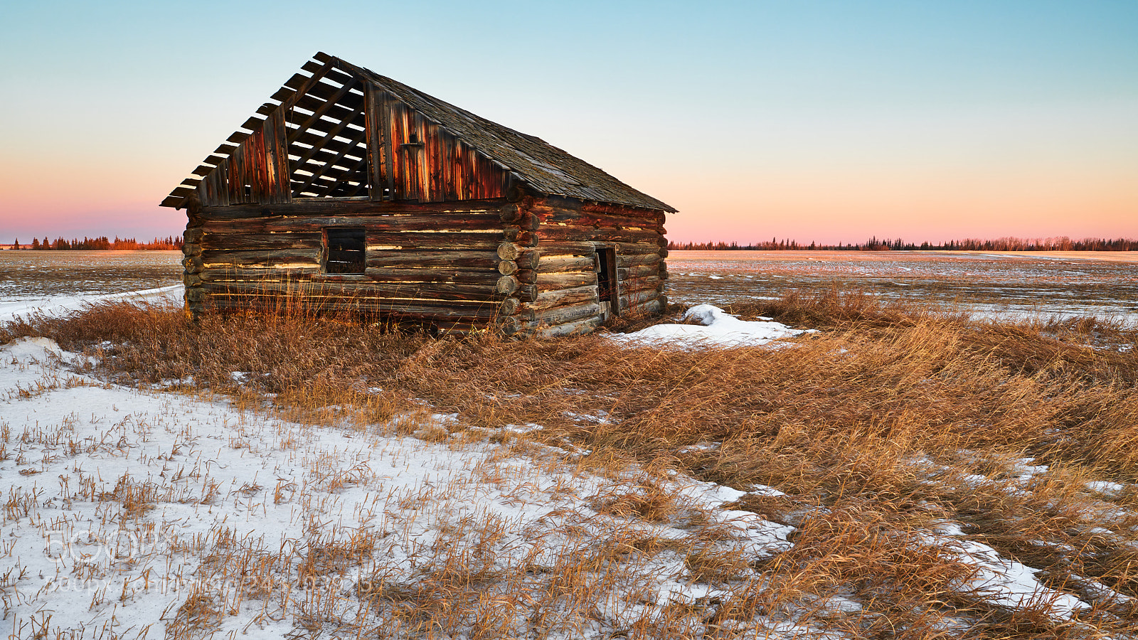 Nikon D850 sample photo. Abandoned log barn photography