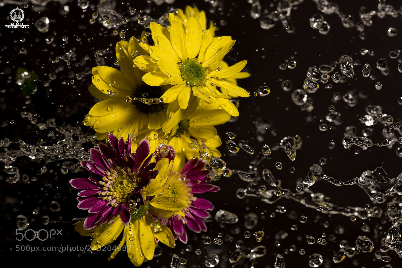 Nikon D810 sample photo. The force photography