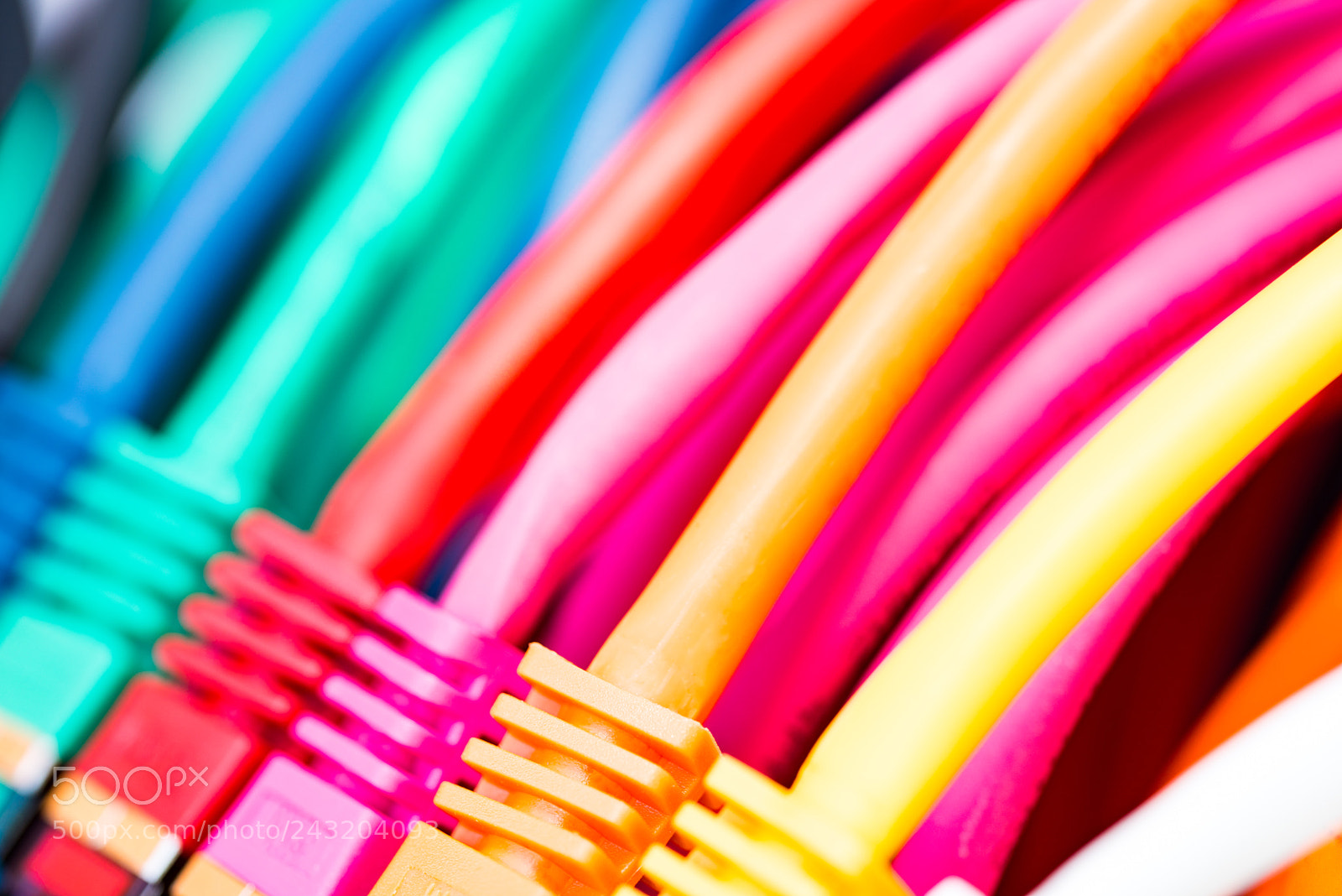 Nikon D810 sample photo. Network cables photography