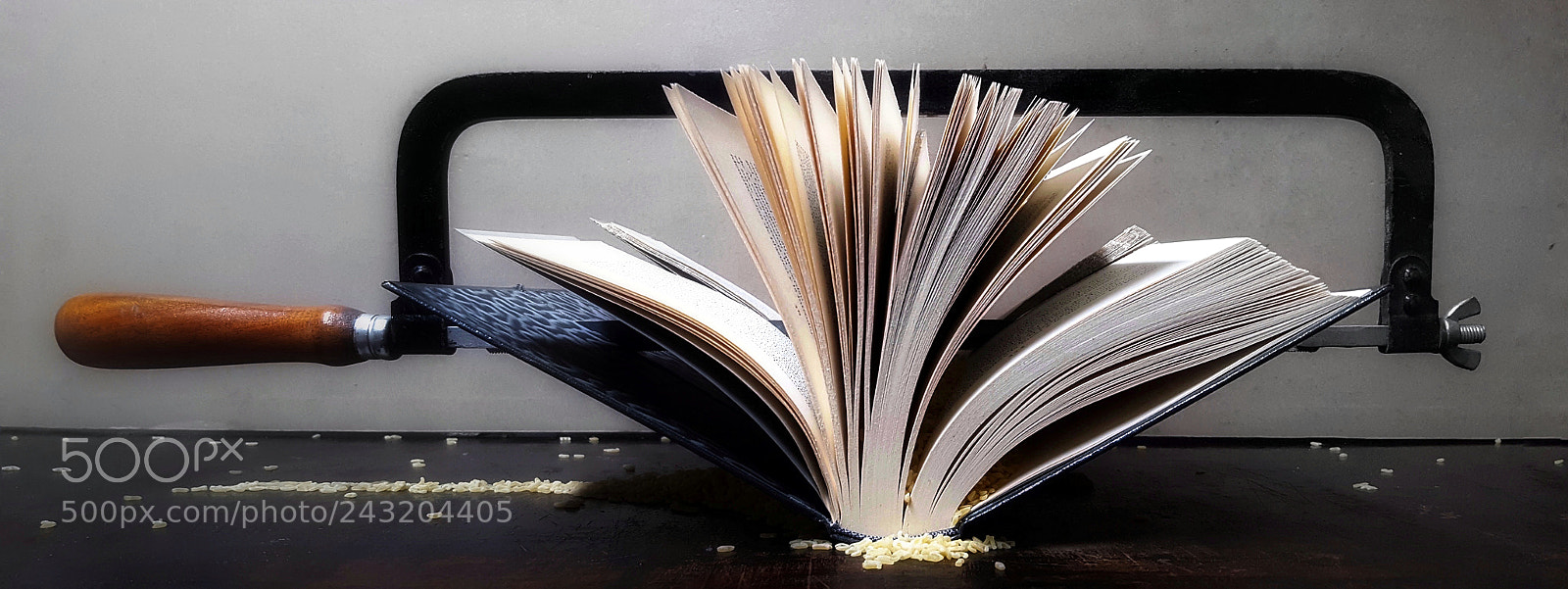 Samsung GALAXY S6 edge sample photo. Of the whole novel photography