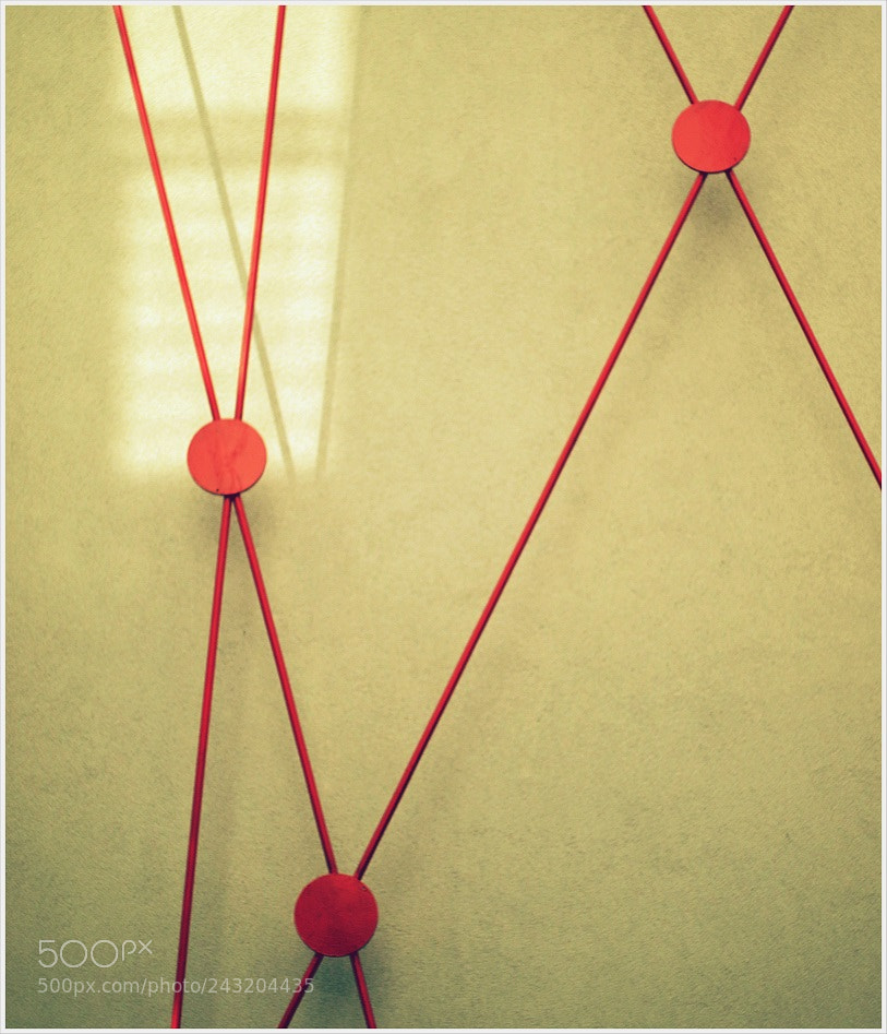 Canon EOS 7D Mark II sample photo. Untitled photography