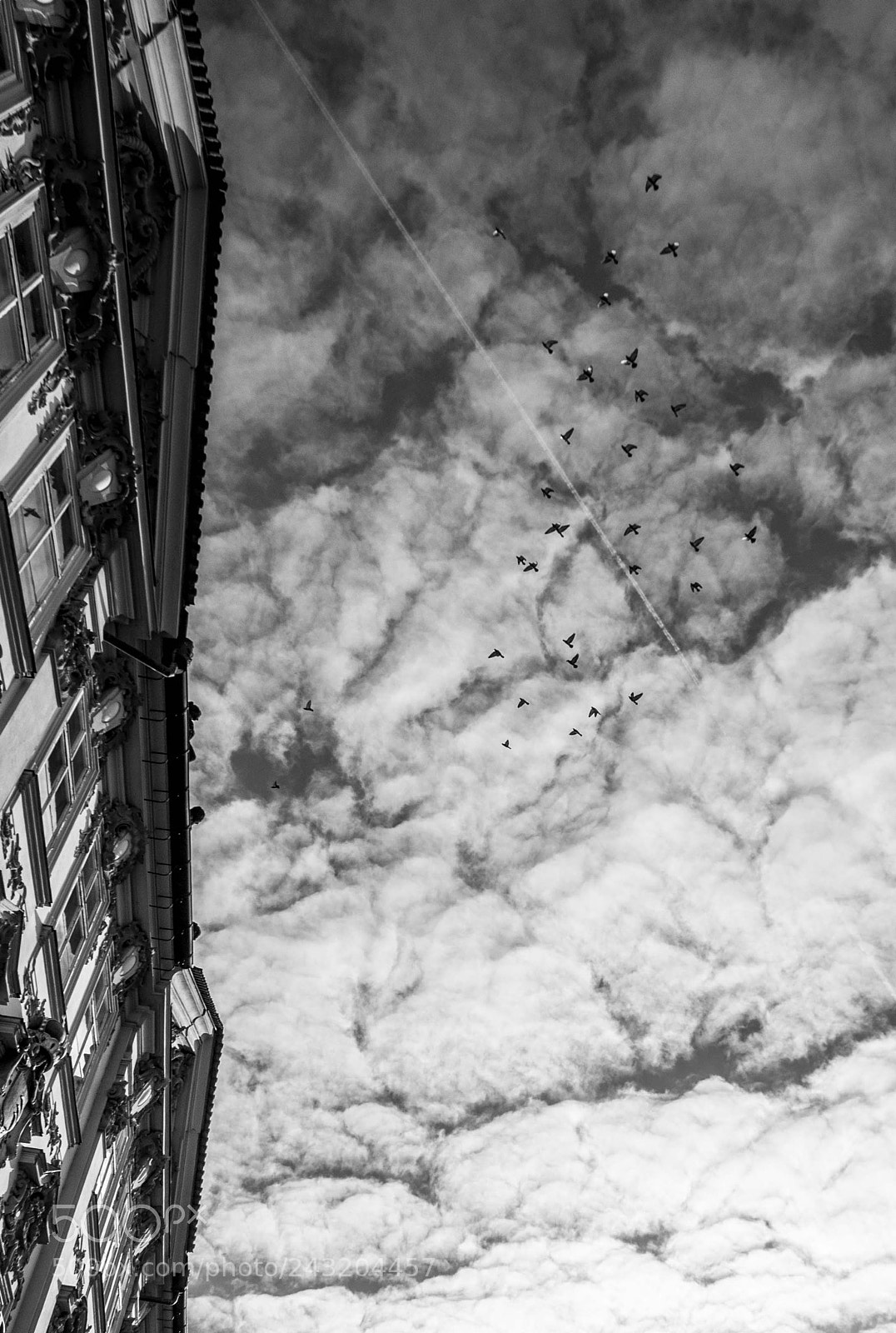 Nikon D90 sample photo. Liberi photography
