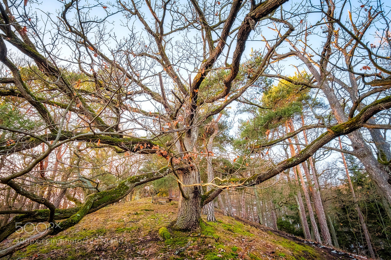 Fujifilm X-T2 sample photo. Oberhalb dürnstein photography