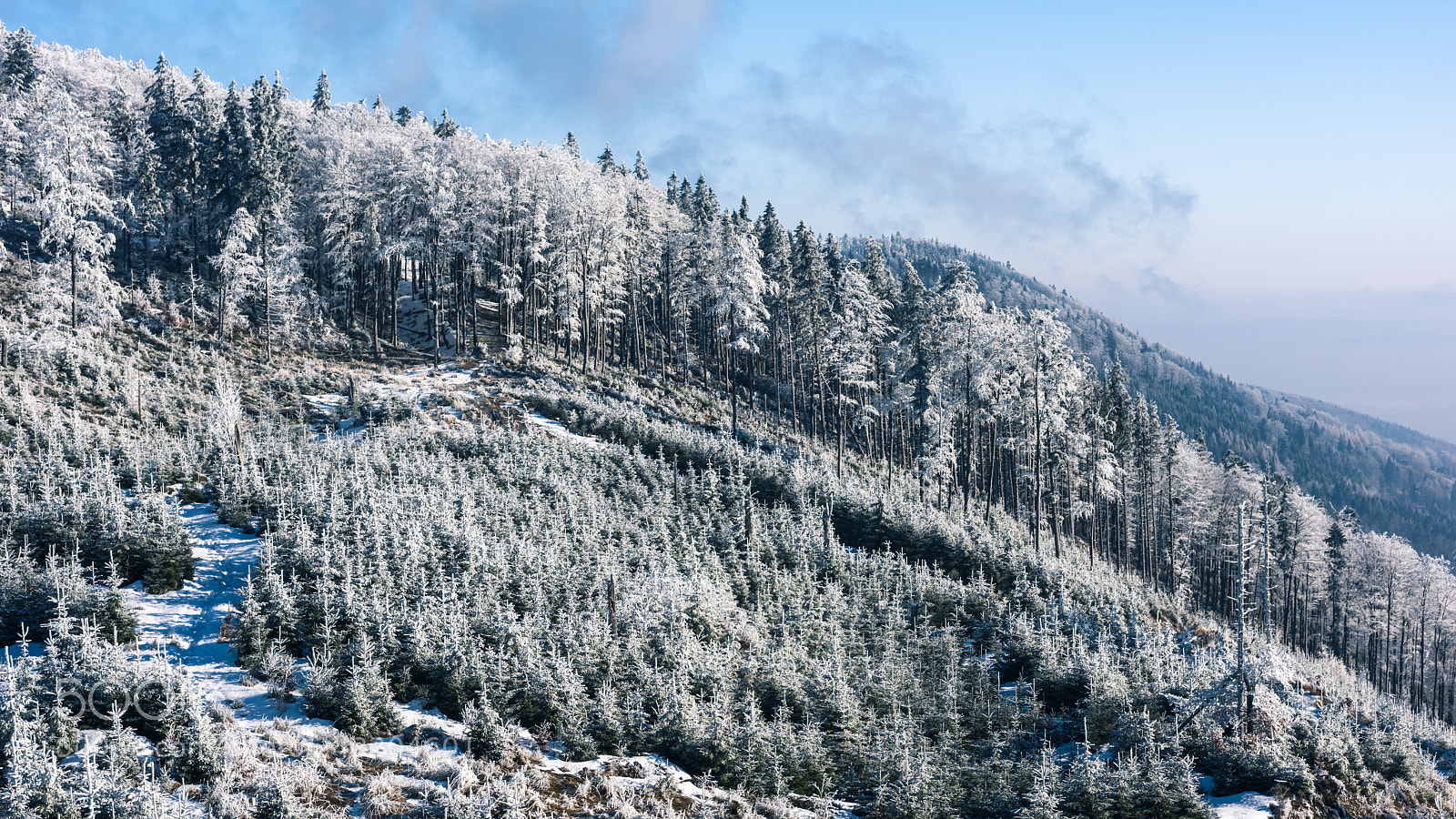 Nikon D810 sample photo. Frozen land photography