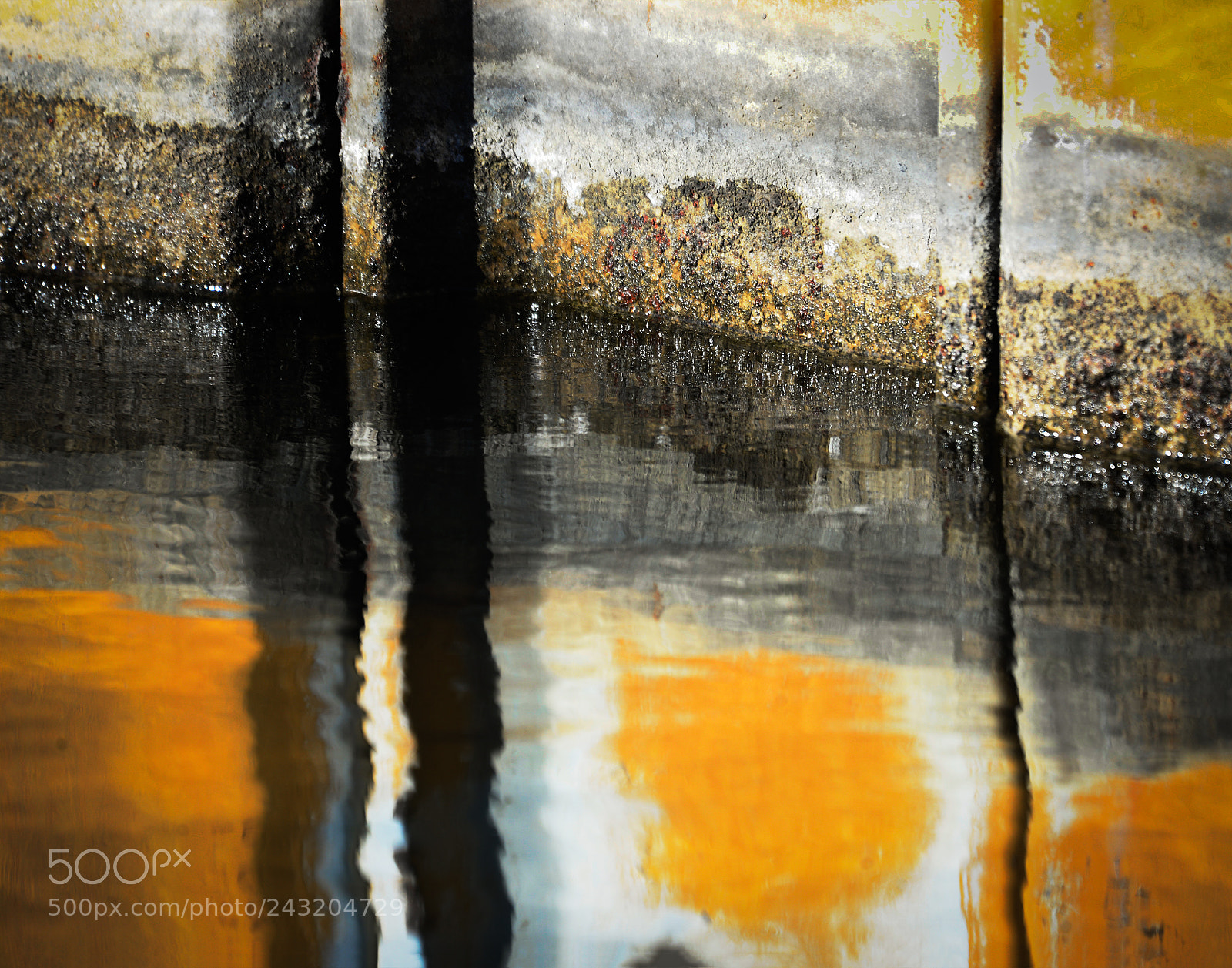 Nikon D610 sample photo. Upon reflection photography