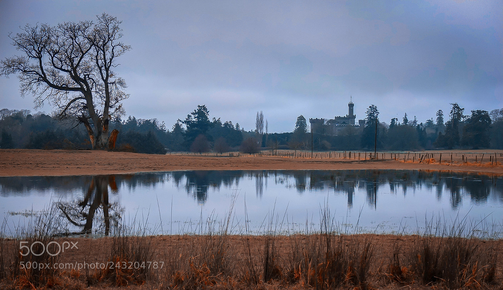 Fujifilm X10 sample photo. Winter photography