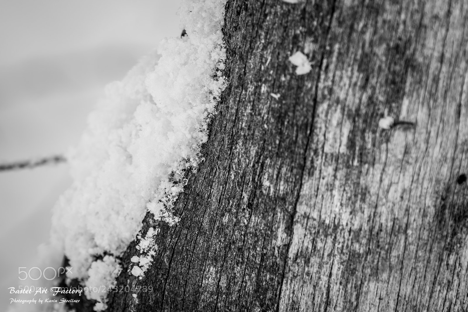 Nikon D810 sample photo. Snow and wood in photography