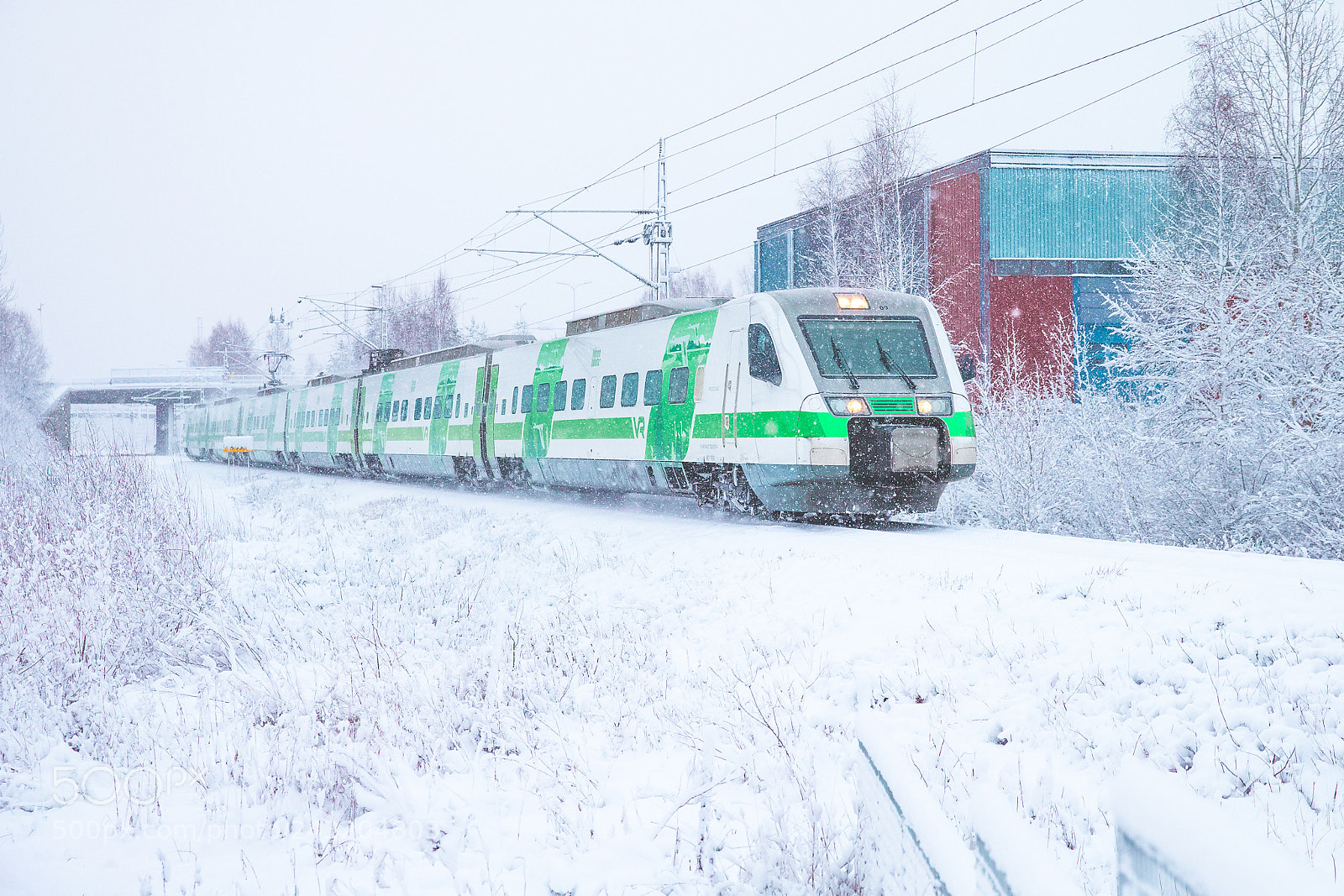Canon EOS-1D X sample photo. Pendolino photography