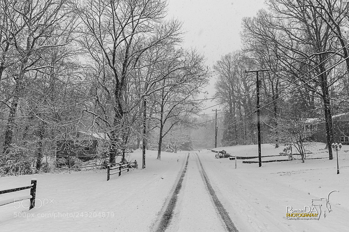 Nikon D7200 sample photo. Down the snow covered photography