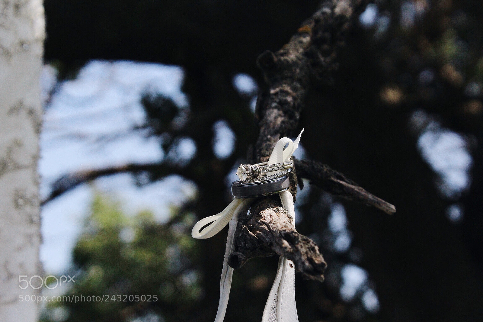 Canon EOS 1200D (EOS Rebel T5 / EOS Kiss X70 / EOS Hi) sample photo. Untitled photography