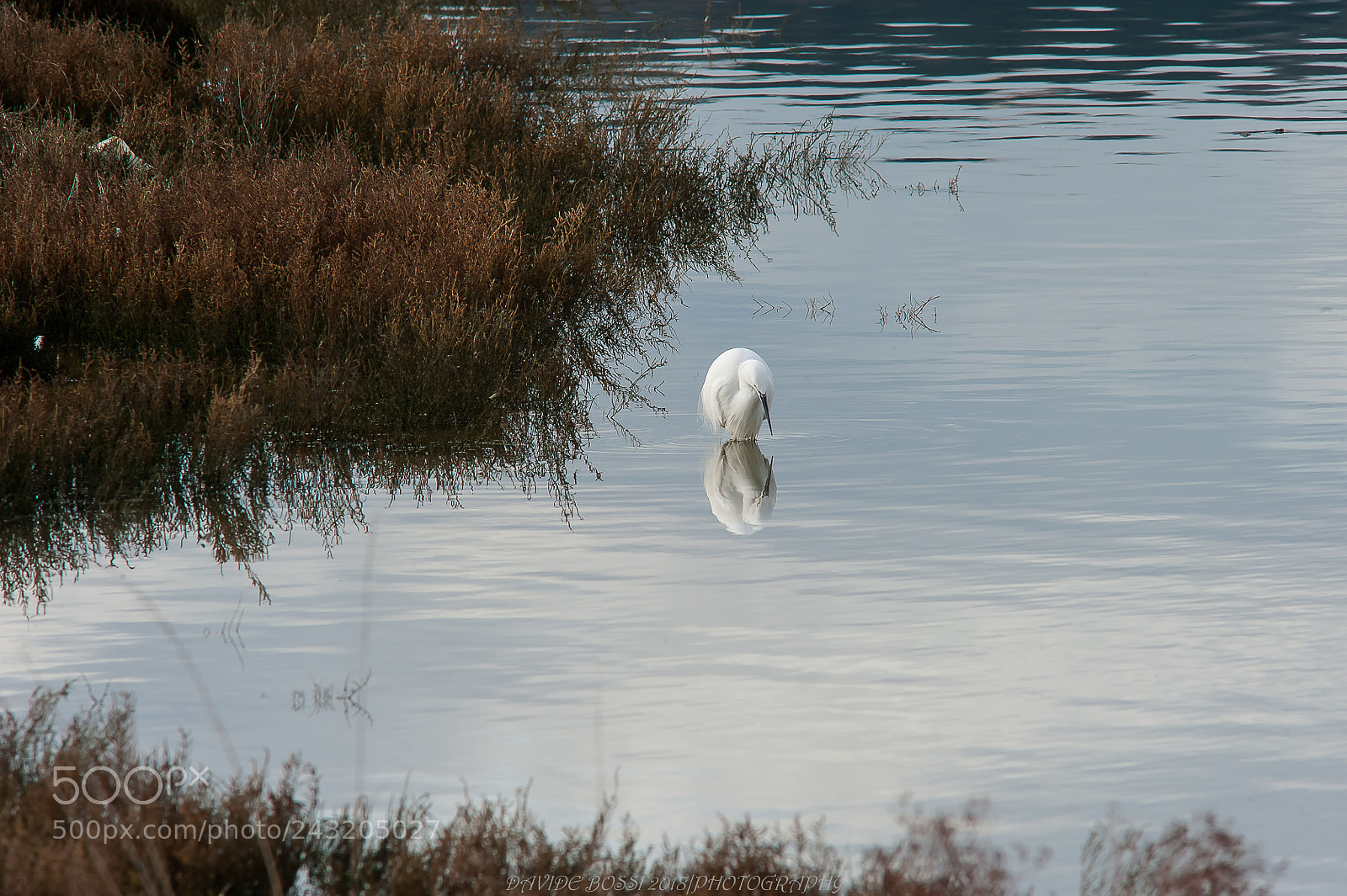 Nikon D700 sample photo. Oasi koper slovenia photography