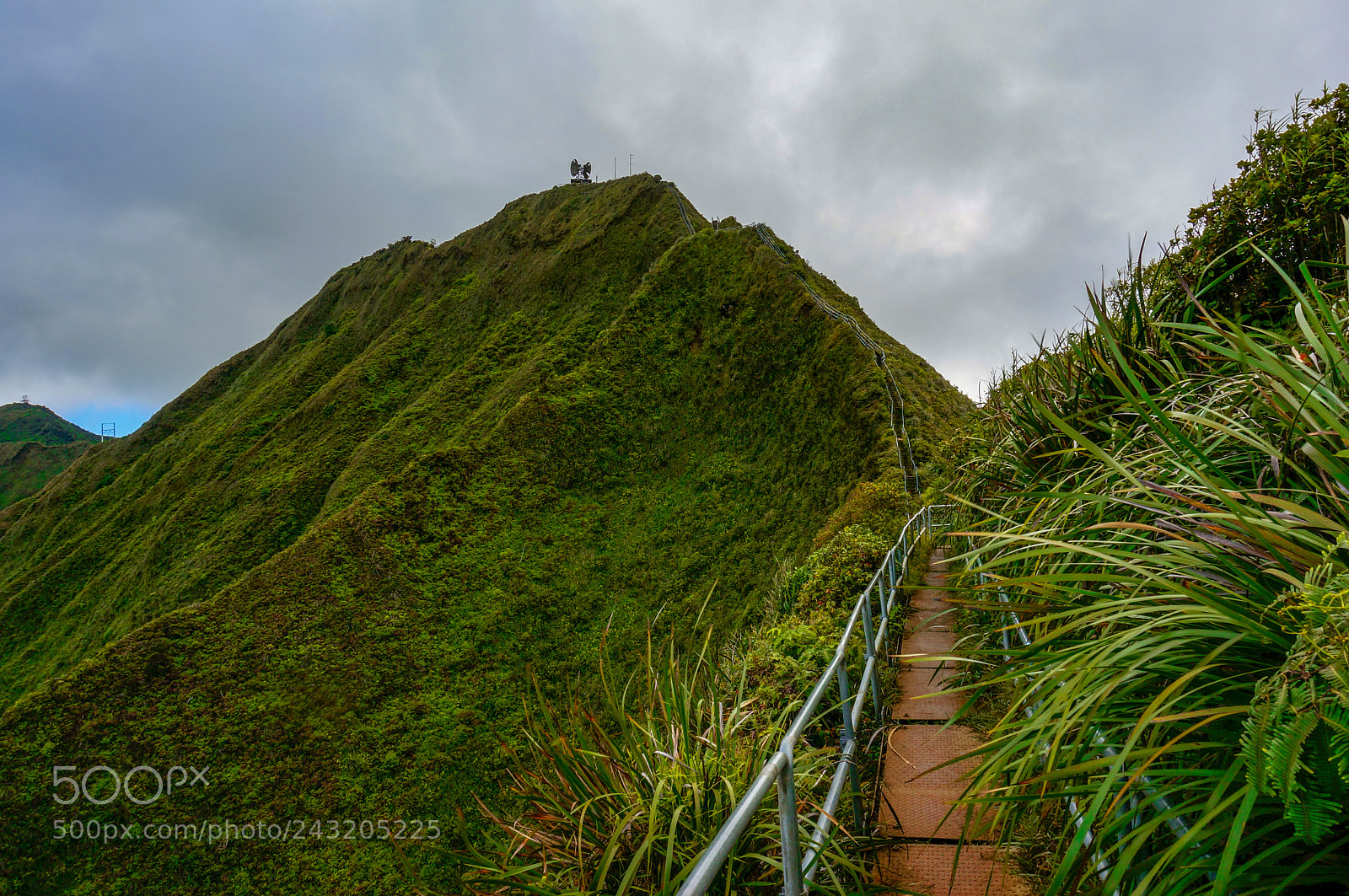 Sony Alpha NEX-5R sample photo. Stairway to heaven photography