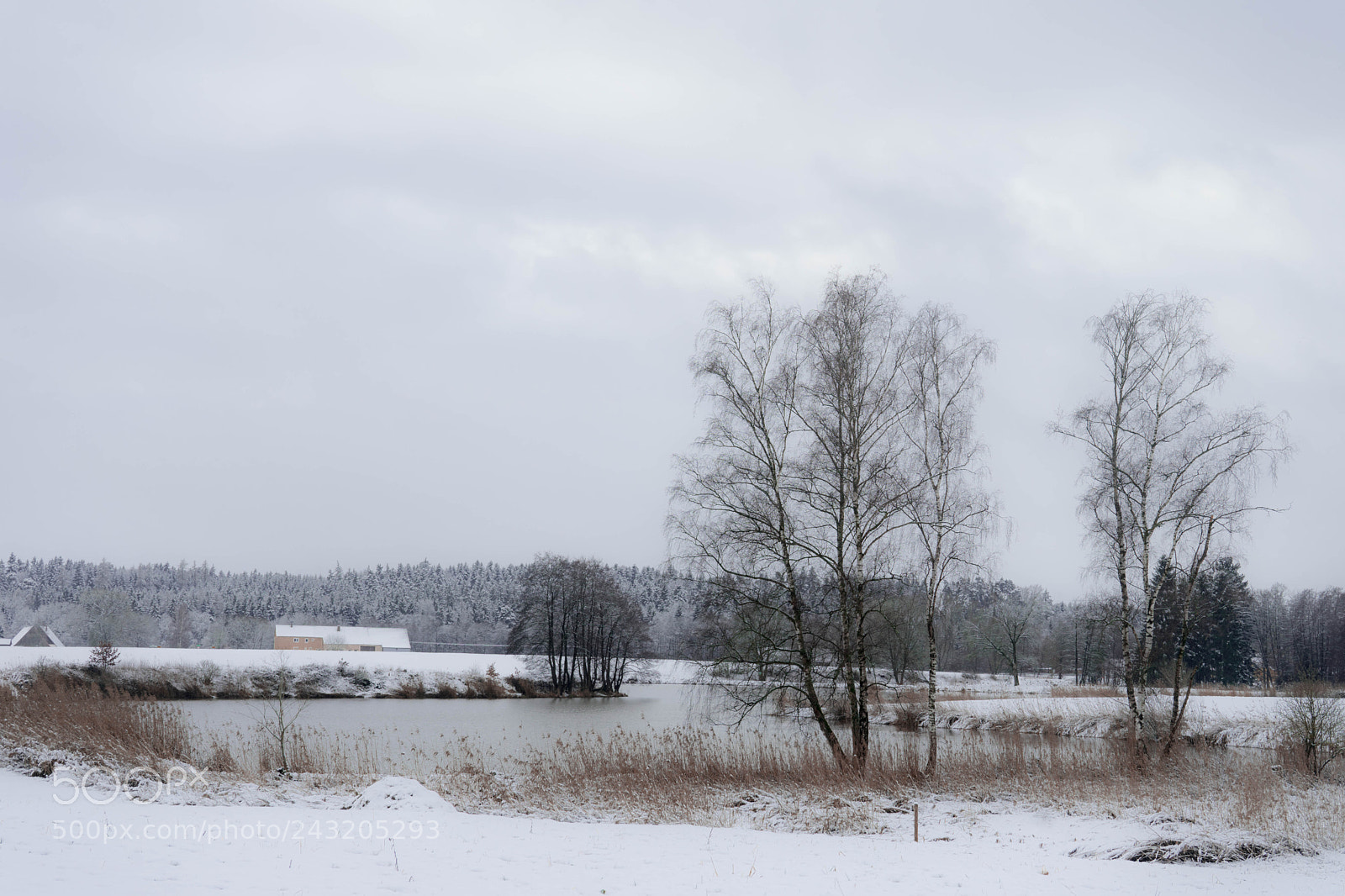 Sony a7 sample photo. Kalter wintertag photography