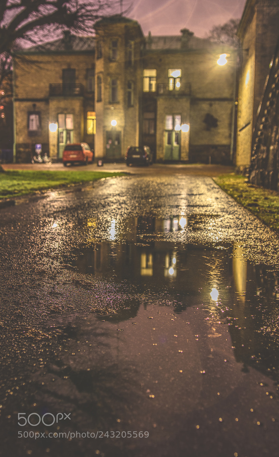 Canon EOS 60D sample photo. After rain effect photography