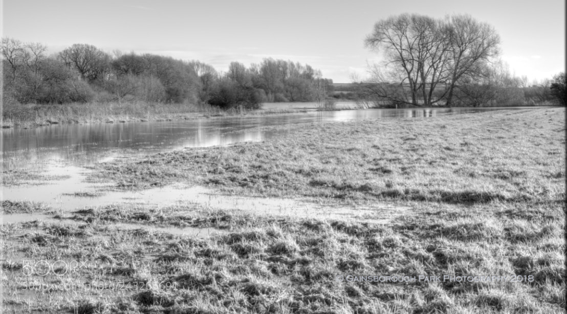 Olympus OM-D E-M10 II sample photo. River anker, shuttington photography