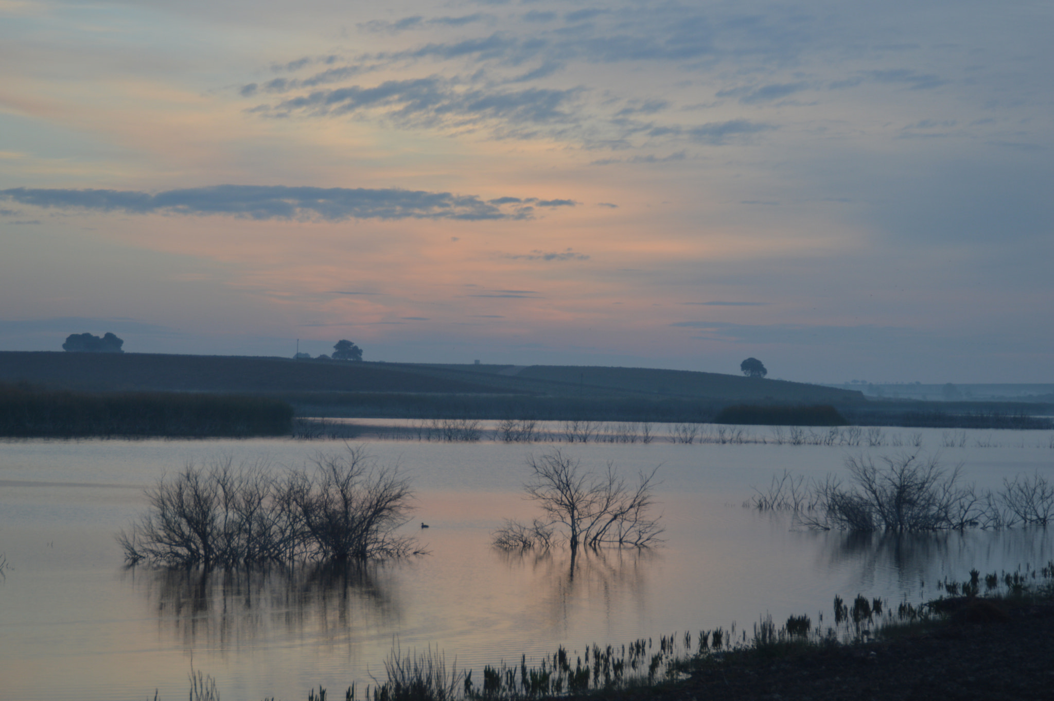 Nikon D3200 sample photo. Intitulada photography