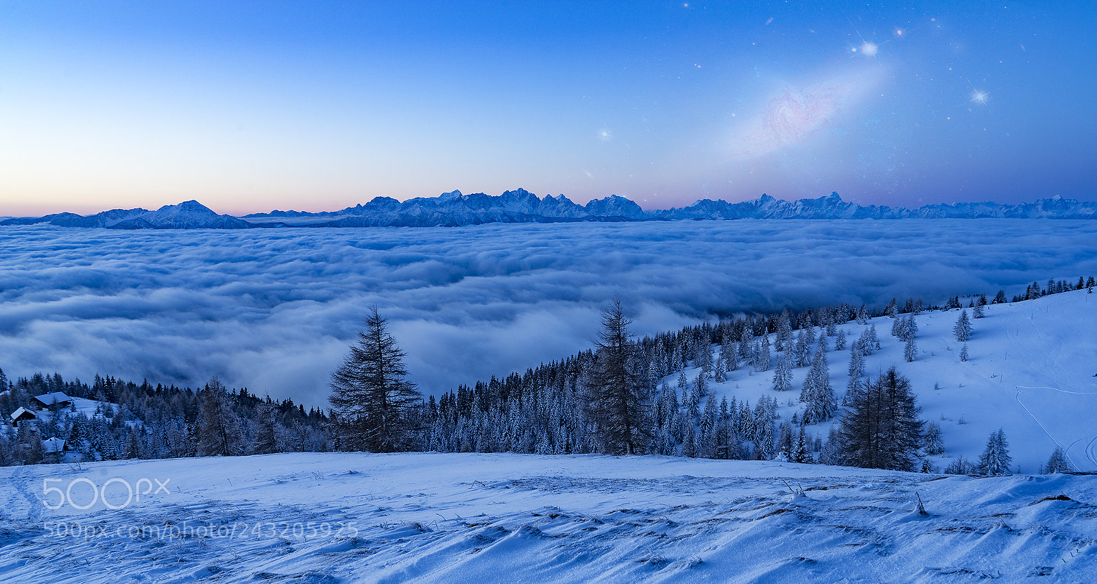 Sony a7R sample photo. Winter stars photography