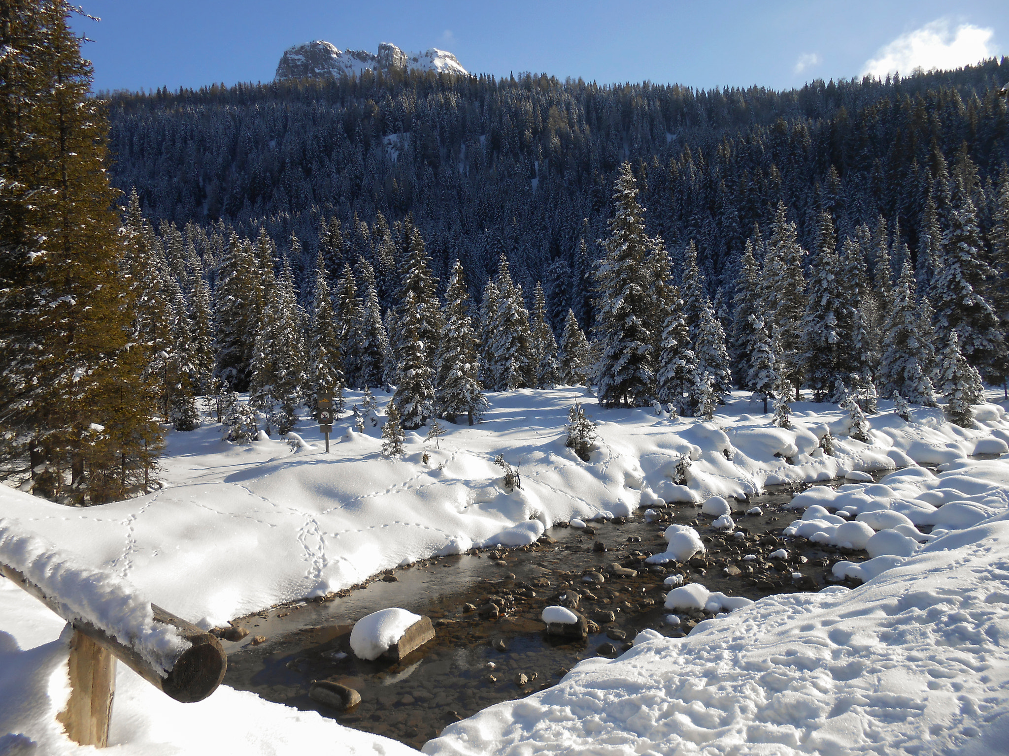 Nikon Coolpix S3300 sample photo. La valle incantata - val venegia (tn) photography