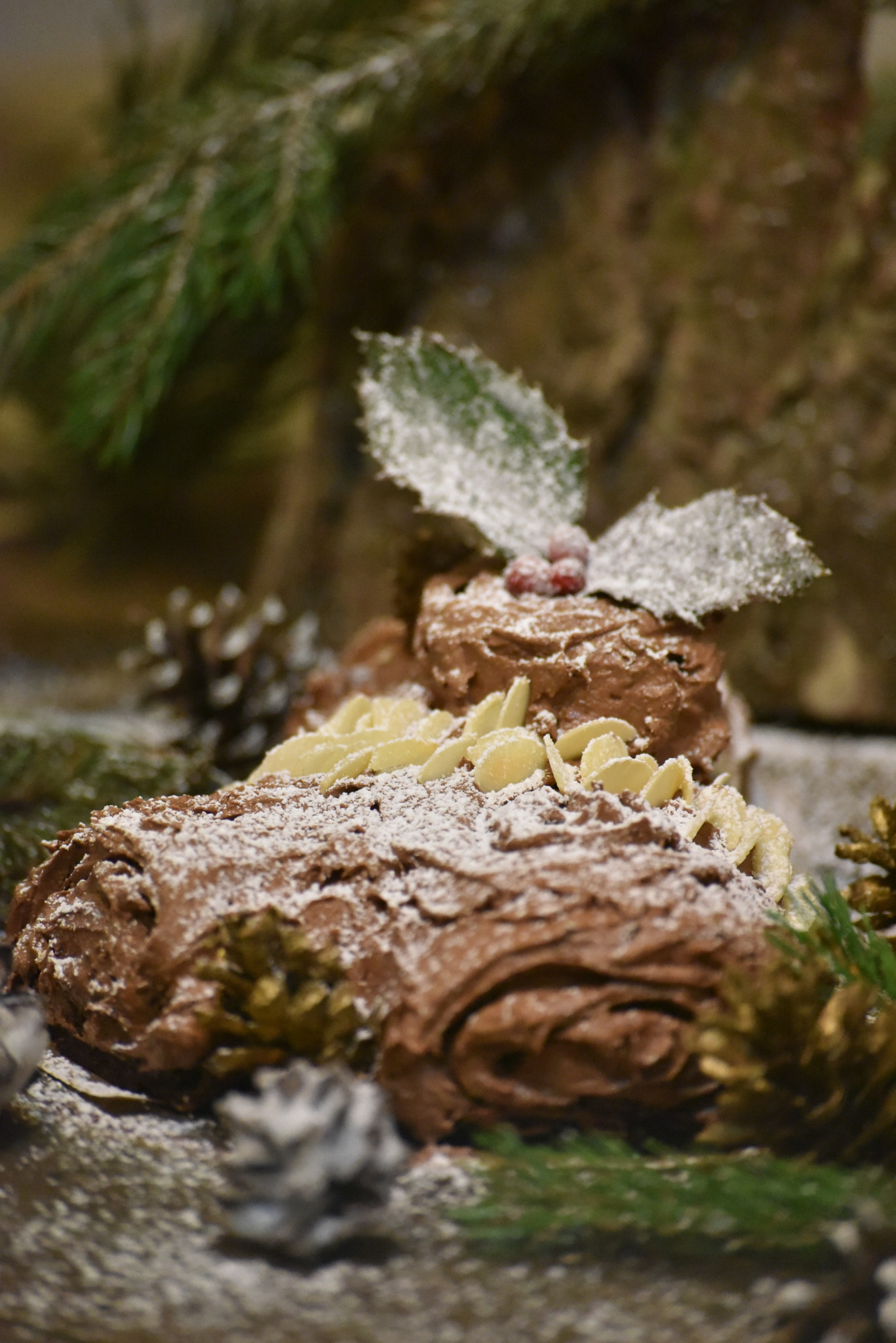 Sigma 70-300mm F4-5.6 APO Macro Super II sample photo. Yule log photography