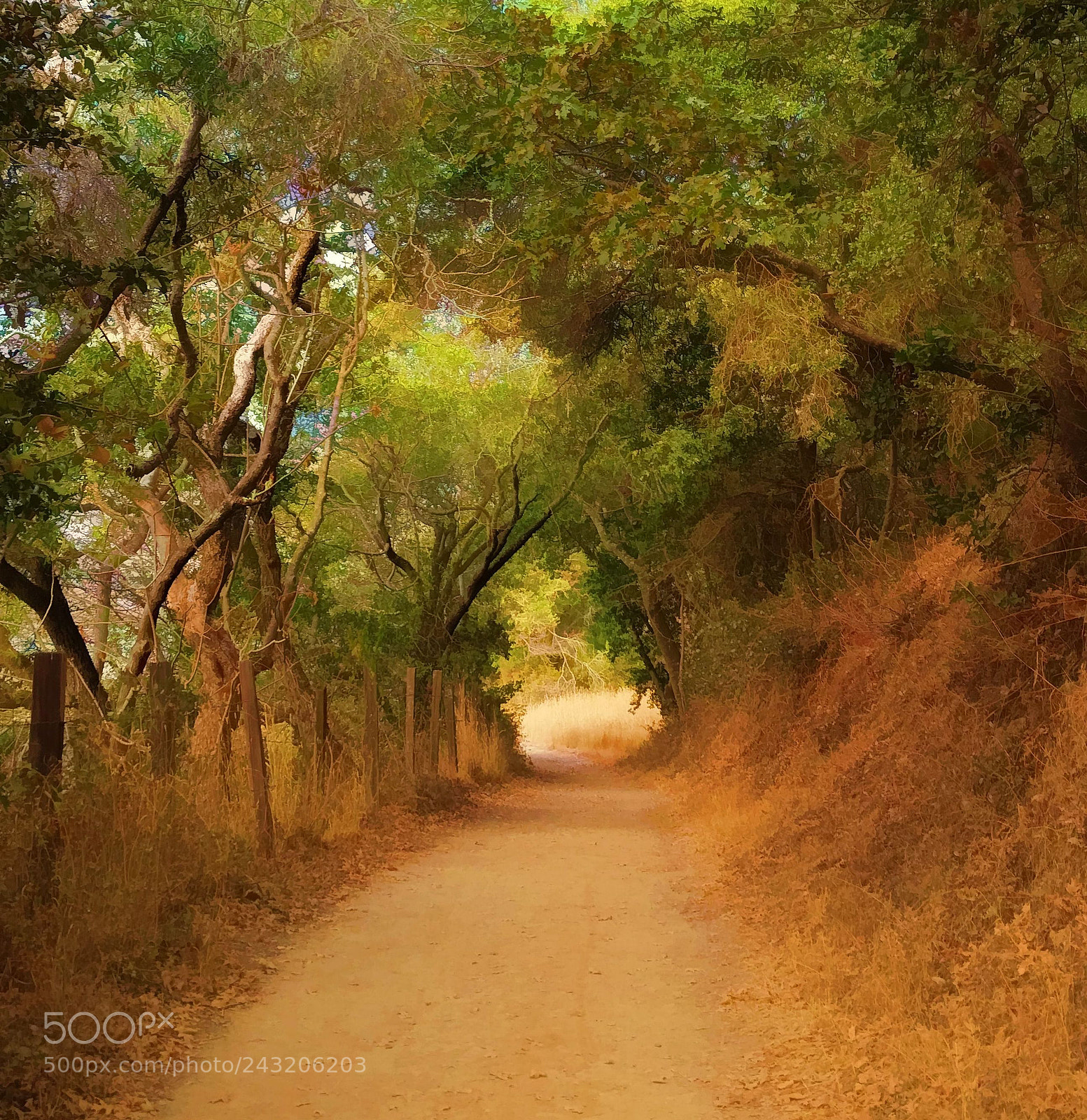 Samsung Galaxy S5 sample photo. Rush creek walking path photography