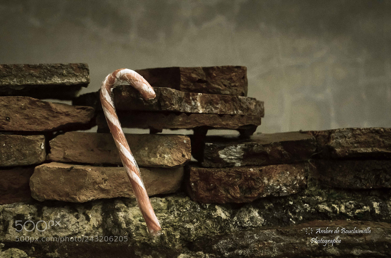 Nikon D5100 sample photo. Lost candycane photography