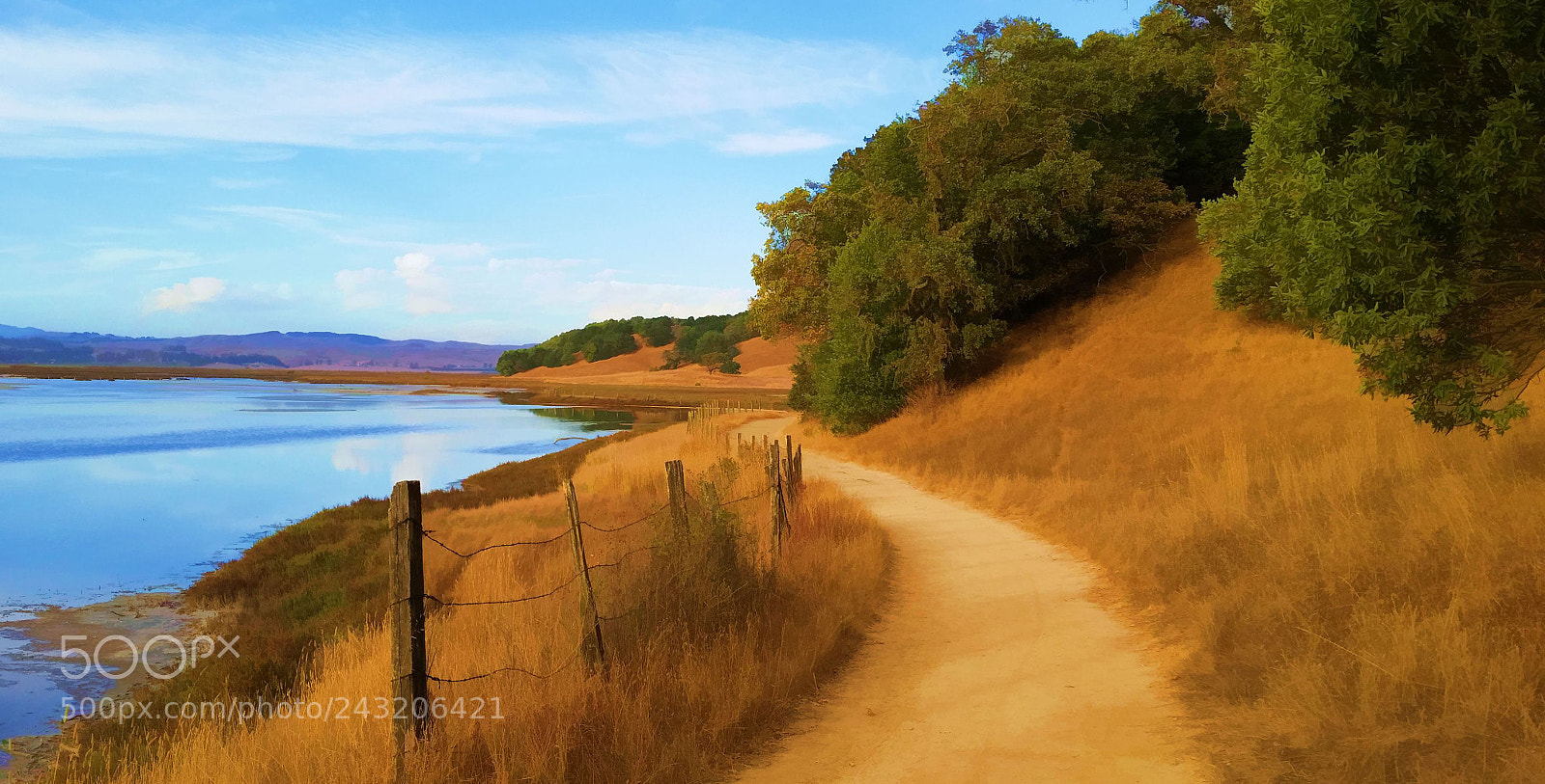 Samsung Galaxy S5 sample photo. Walking path by rush photography