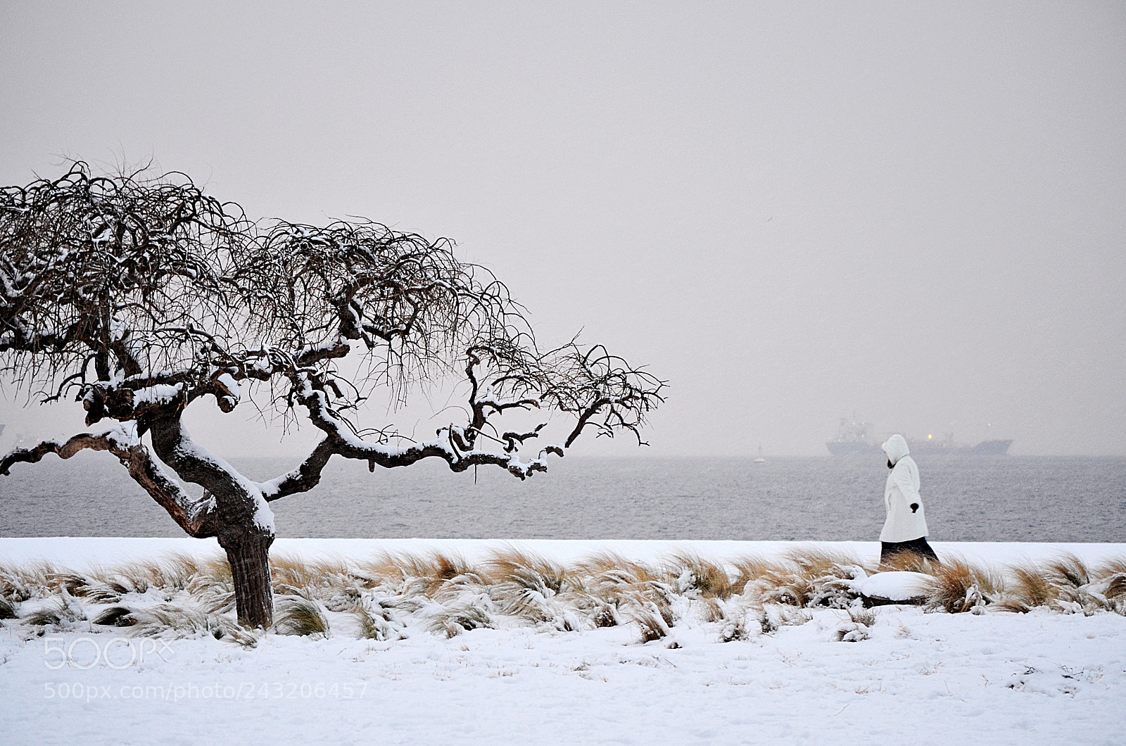 Nikon D5100 sample photo. Paths photography