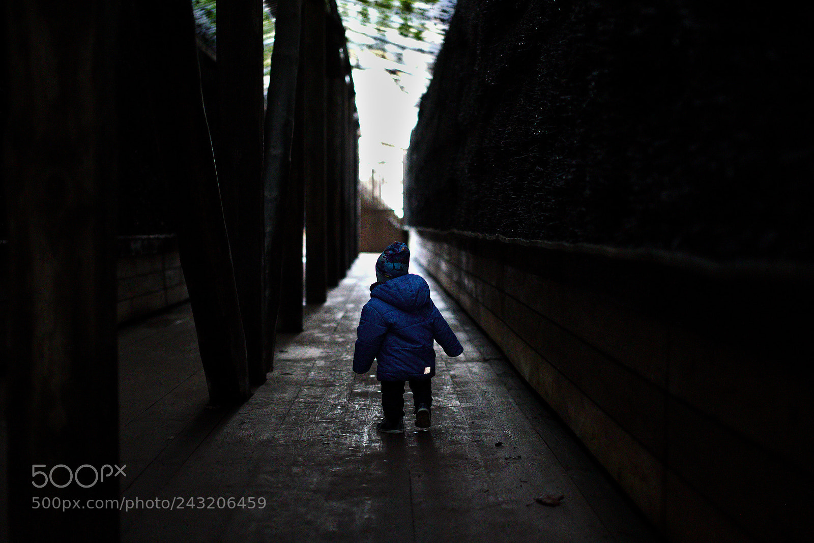 Pentax K-1 sample photo. Fearless photography