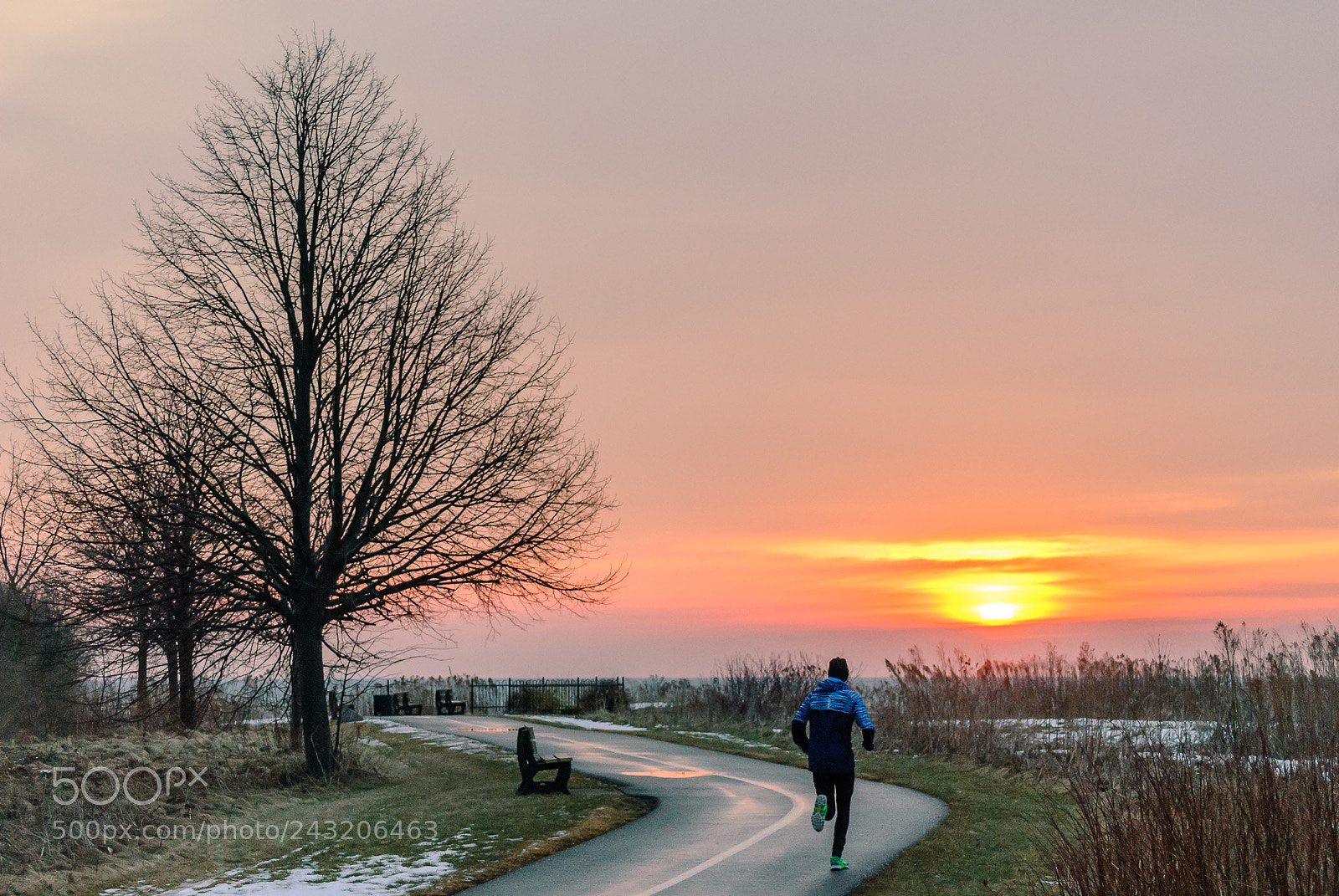 Nikon D3000 sample photo. A morning run photography