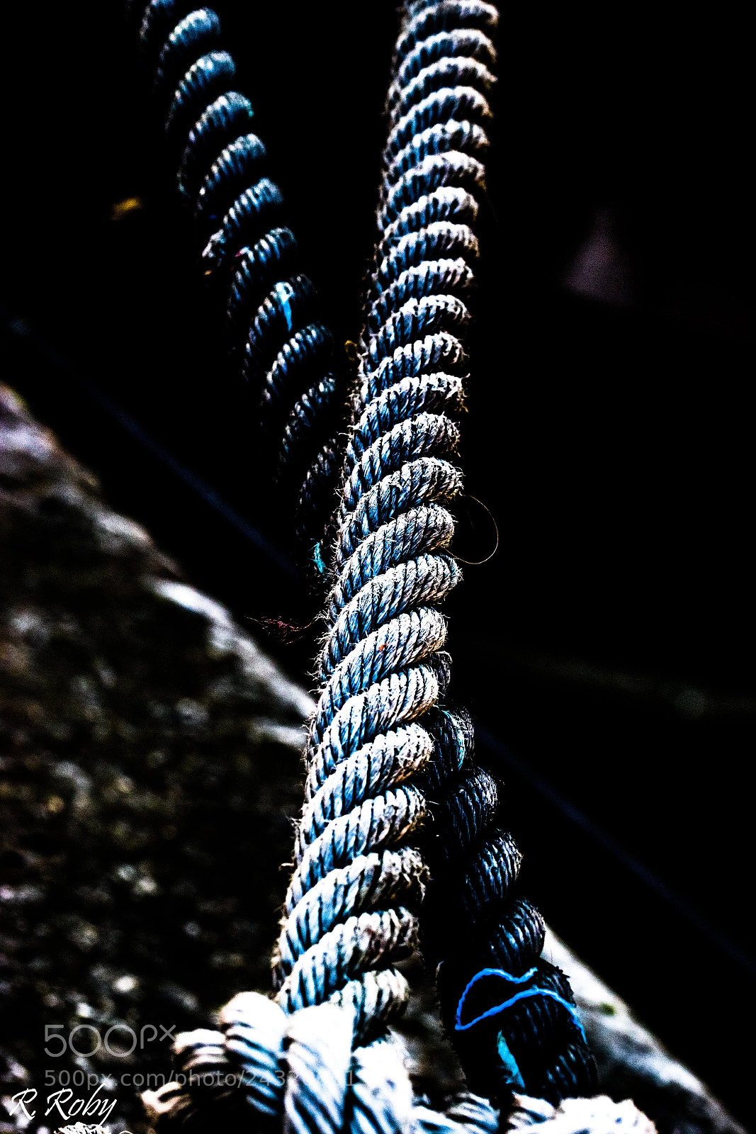 Nikon D5500 sample photo. Macro balade photography