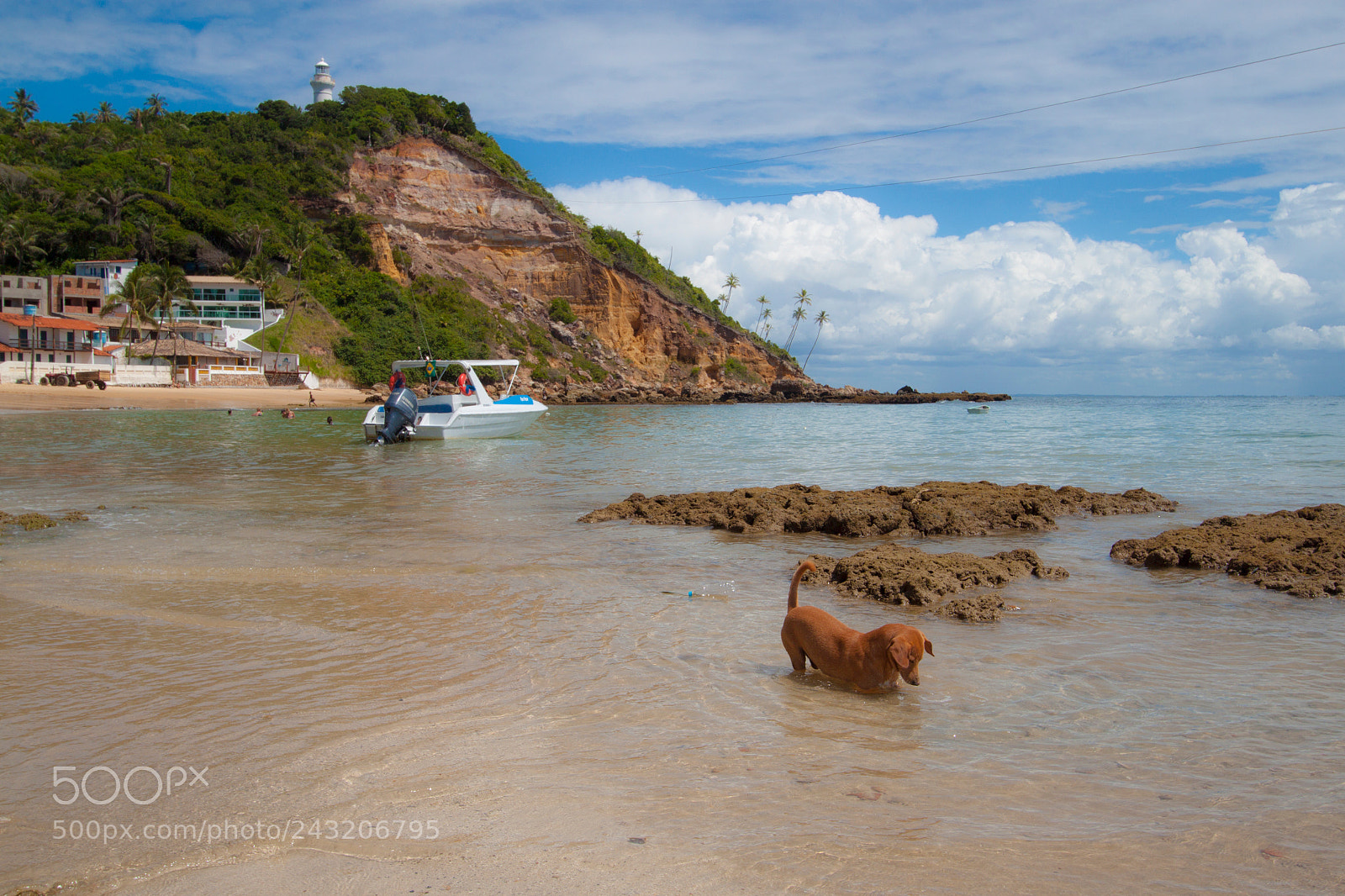 Canon EOS 500D (EOS Rebel T1i / EOS Kiss X3) sample photo. Boats at morro de photography