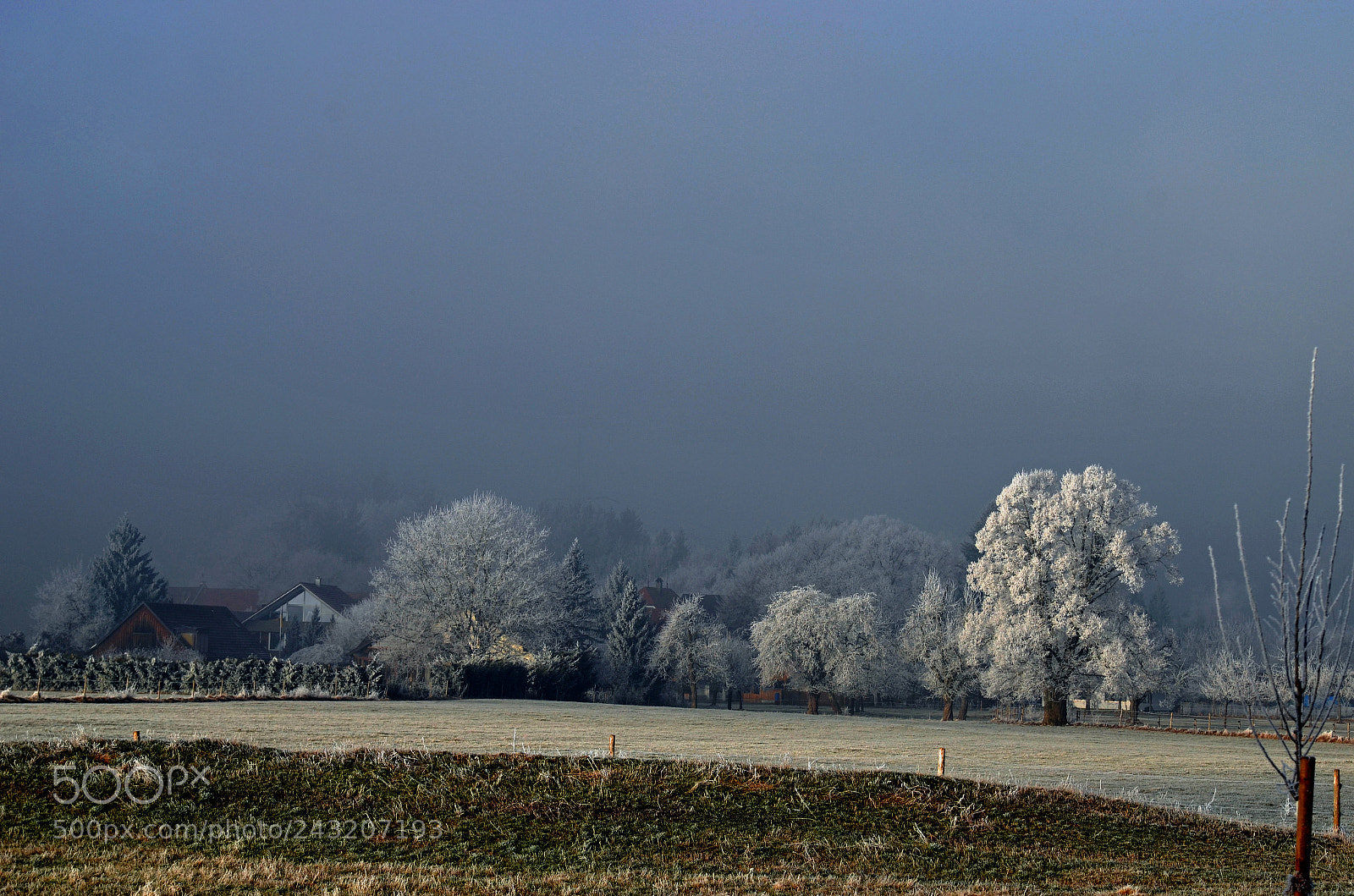 Nikon D5100 sample photo. Sungame in winter for photography