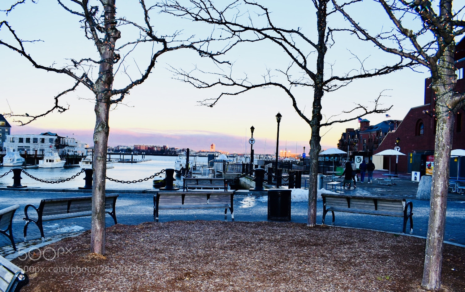Nikon D5600 sample photo. Untitled photography
