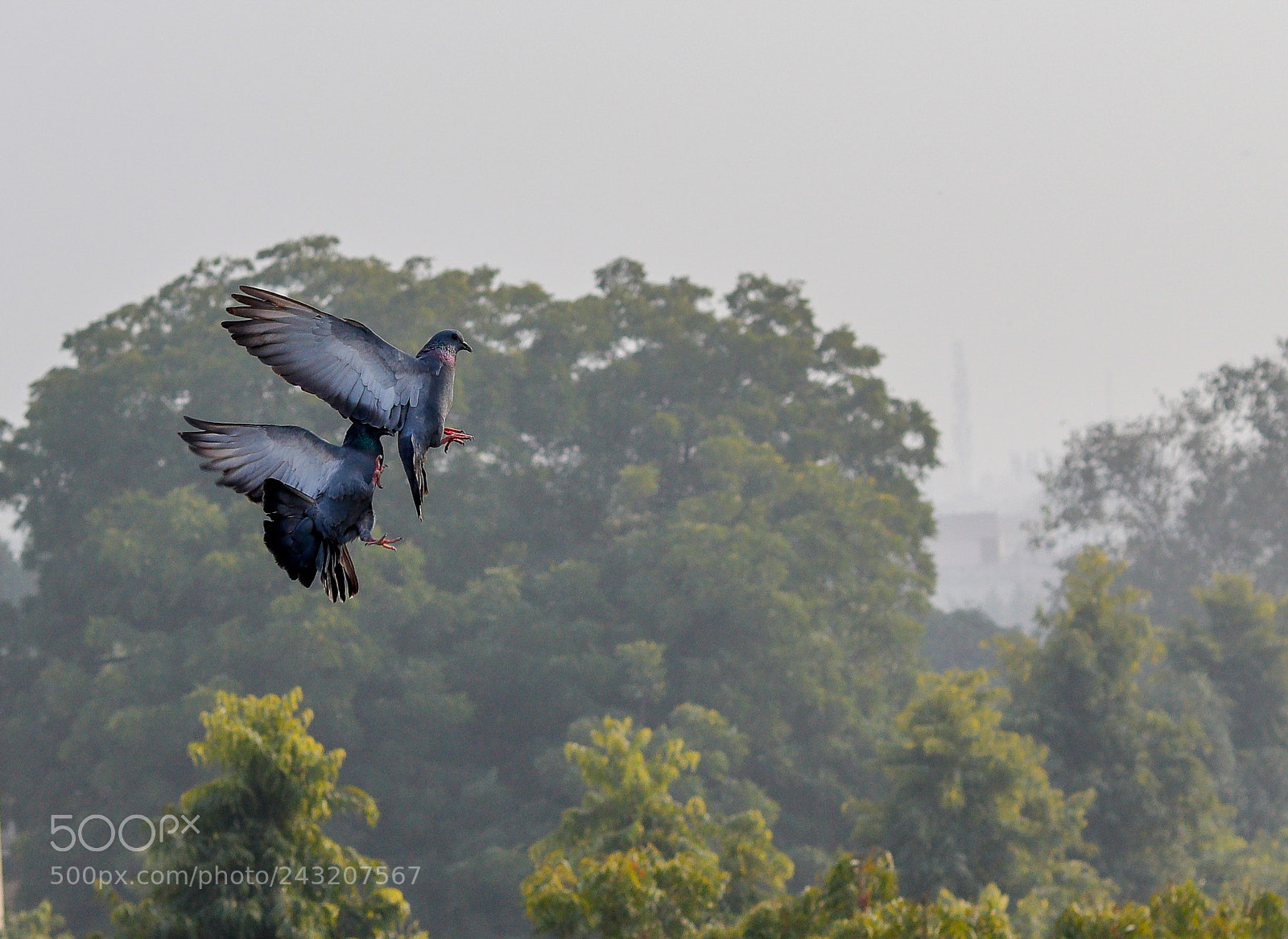 Canon EOS 77D (EOS 9000D / EOS 770D) sample photo. Togetherness photography