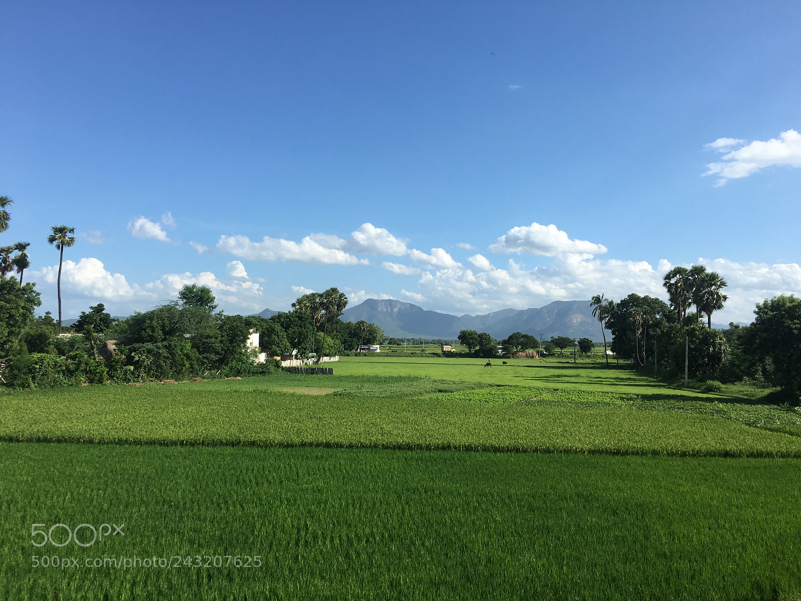 Apple iPhone 6s sample photo. Gods own place photography