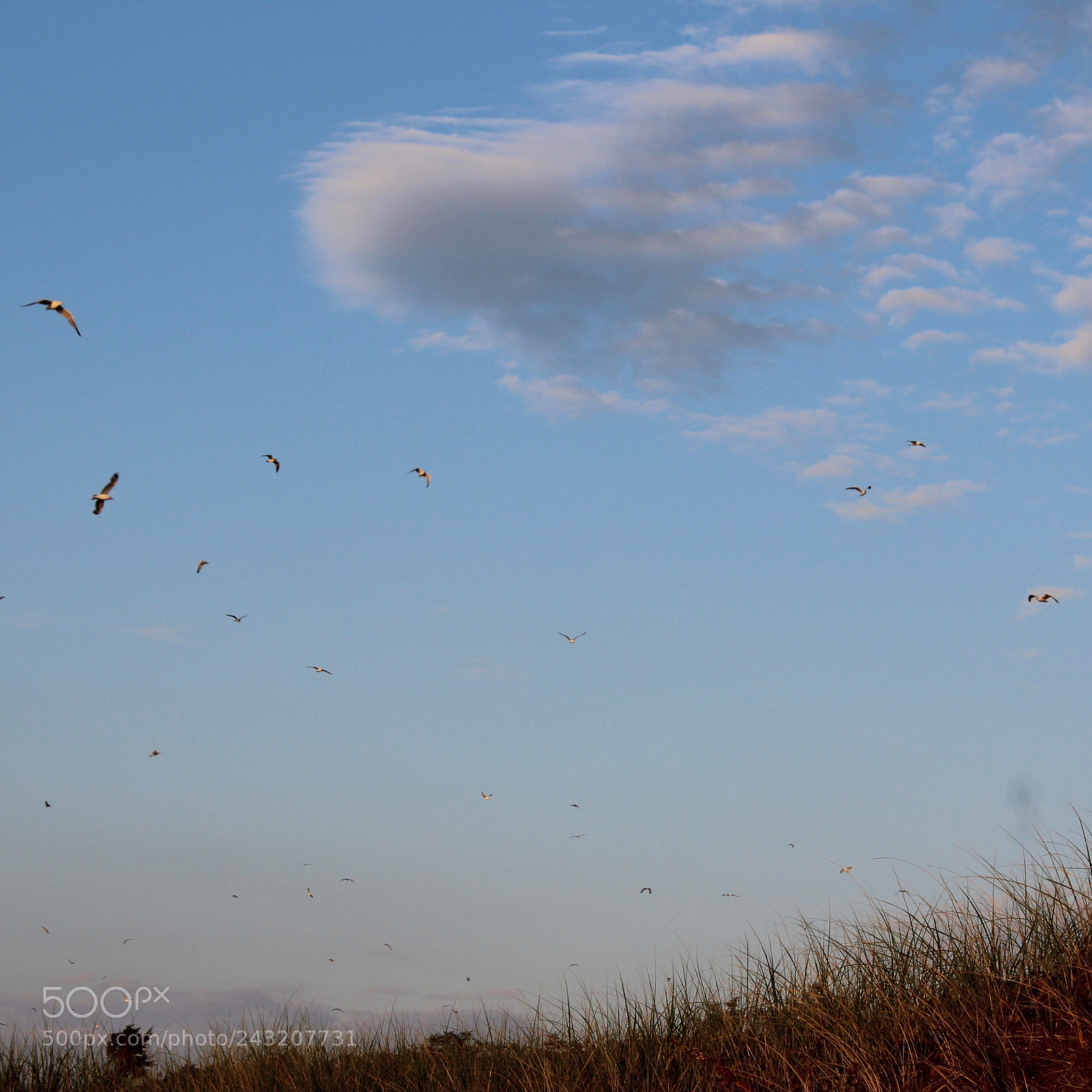 Canon EOS 1200D (EOS Rebel T5 / EOS Kiss X70 / EOS Hi) sample photo. Skaket sky photography