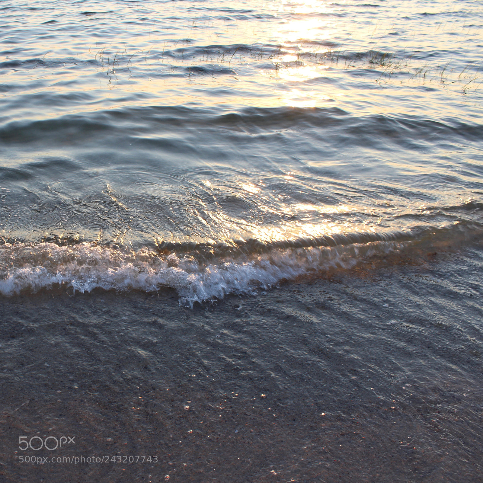 Canon EOS 1200D (EOS Rebel T5 / EOS Kiss X70 / EOS Hi) sample photo. Ripples on sand photography