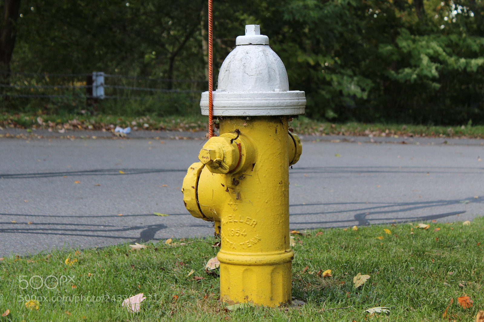 Canon EOS 1200D (EOS Rebel T5 / EOS Kiss X70 / EOS Hi) sample photo. Yellow hydrant photography