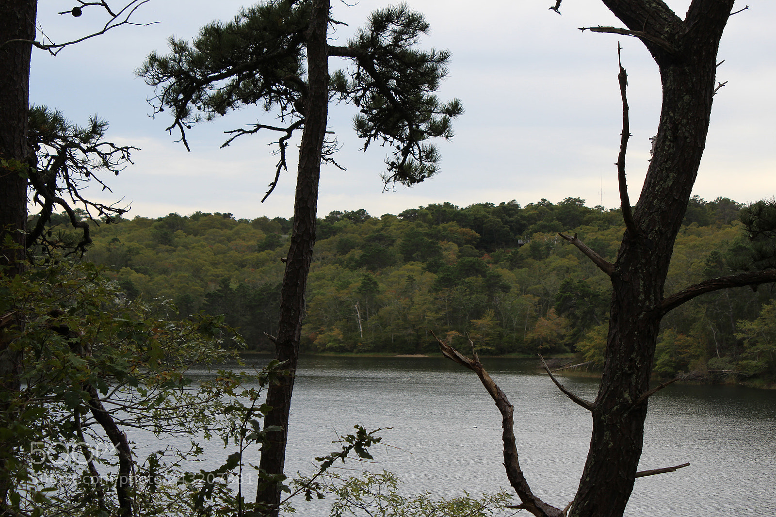 Canon EOS 1200D (EOS Rebel T5 / EOS Kiss X70 / EOS Hi) sample photo. Bakers pond photography
