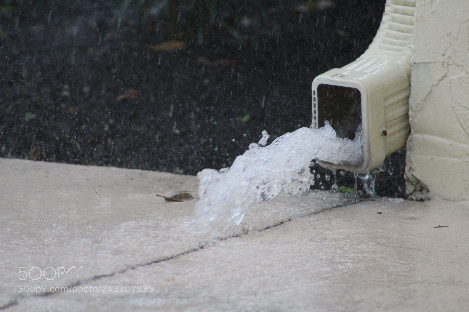 Canon EOS 1200D (EOS Rebel T5 / EOS Kiss X70 / EOS Hi) sample photo. Img photography