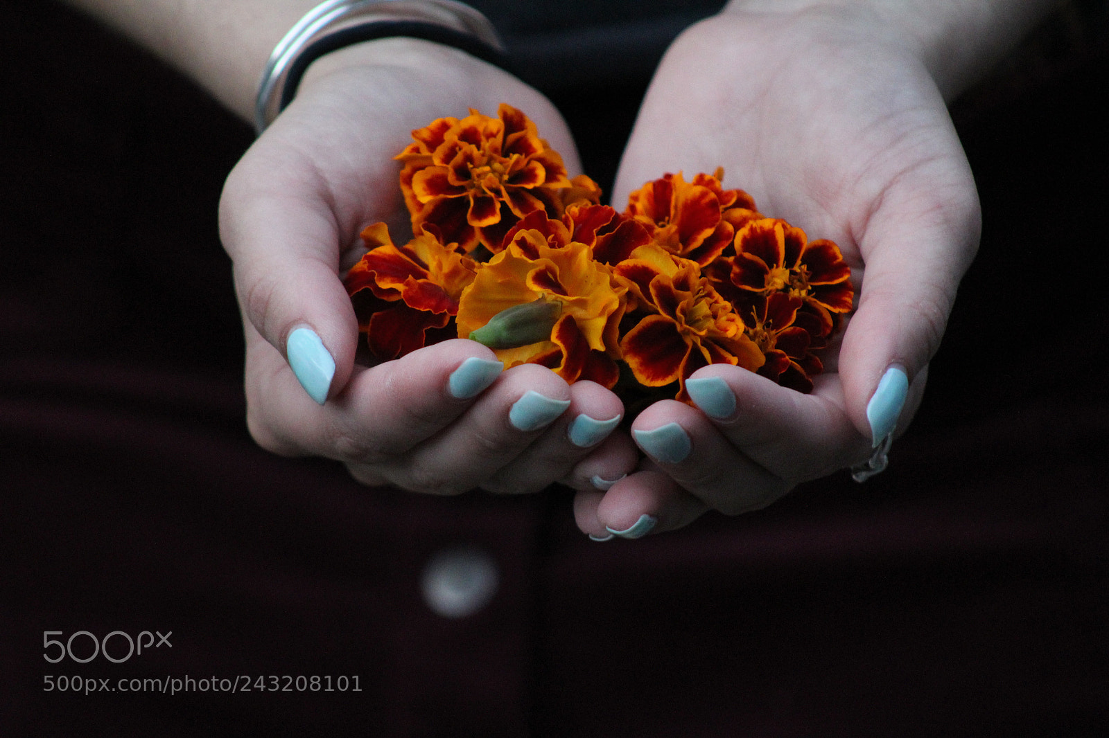 Canon EOS 1200D (EOS Rebel T5 / EOS Kiss X70 / EOS Hi) sample photo. Flowers in hand photography