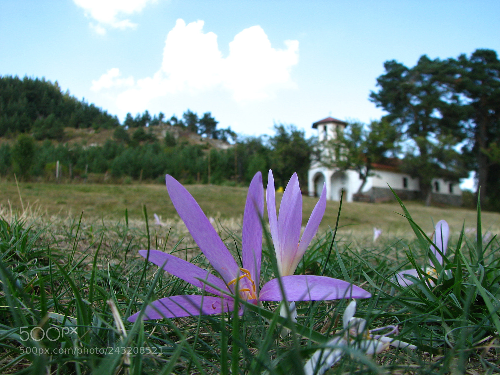 Canon POWERSHOT S3 IS sample photo. Img photography
